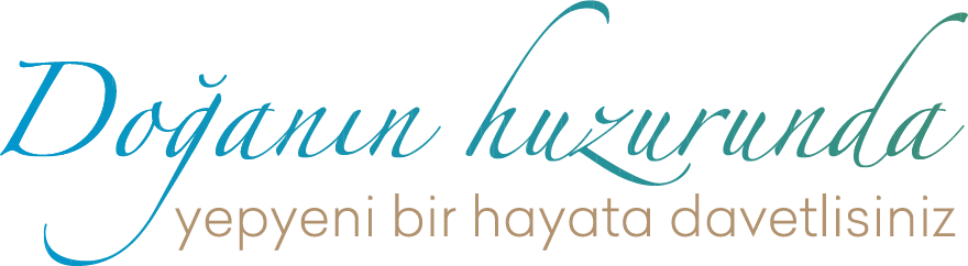 Hemen Teslim